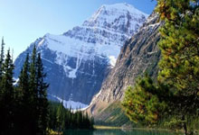 财政部政府采购指导性案例电梯采购情况，2020年政府采购电梯服务十强