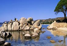 财政部政府采购指导性案例电梯采购情况，2020年政府采购电梯服务十强